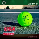 Zcebra Madness 40 Competition - 6u Pack